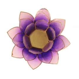 Lotus sfeerlicht violet goudrand 13,5 cm