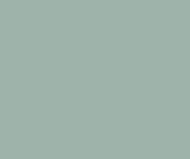 Salie groen, jade groen, early dew of pastel mint groen in je interieur ♥