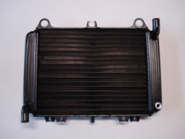 GPX500R & GPX600R Radiator nos