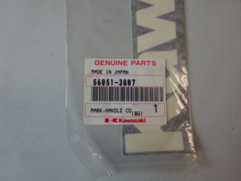 JH1100-A3, 1998 Mark, Handle Cover, Kawasaki nos