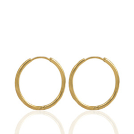 BASIC EARRINGS | RVS SILVER/GOLD