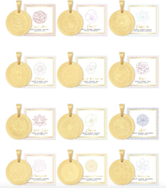 CHARM | BASIC ROUND LINK CHAIN | RVS SILVER/GOLD