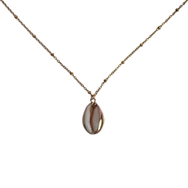 KAURI SHELL | RVS SILVER/GOLD