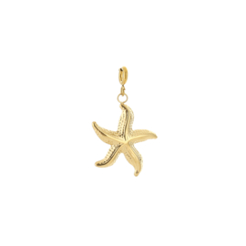 CHARM STARFISH | RVS GOLD