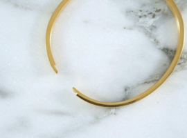 BANGLE | LOVE LIFE AND ENJOY EVERY MOMENT | RVS SILVER/GOLD