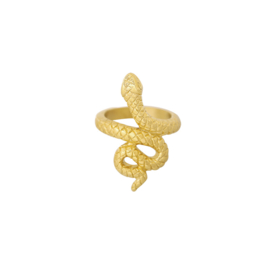 Ring - Snake - RVS gold