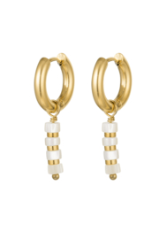 EARRINGS | TUBE SHELL | RVS GOLD