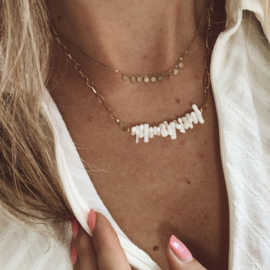 CORAL | RVS GOLD