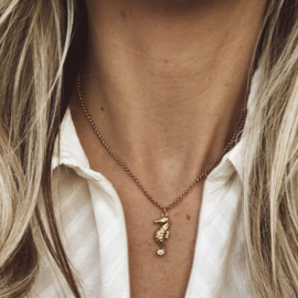 SEA HORSE | RVS SILVER/GOLD