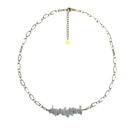 CORAL | RVS GOLD