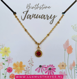 BIRTHSTONE NECKLACE | JANUARY | RVS SILVER/GOLD