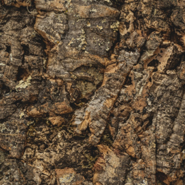 Wandkurk plaat - Cork Forest - 60 x 90 cm