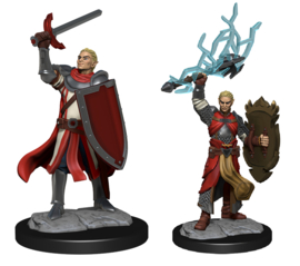 D&D Nolzur's Marvelous Miniatures: Half-Elf Paladin Male