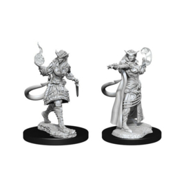 D&D Nolzur's Marvelous Miniatures: Tiefling Sorcerer Female