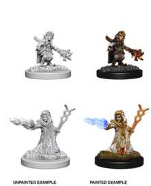 D&D Nolzur's Marvelous Miniatures: Female Gnome Wizard