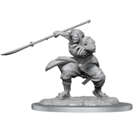 D&D Nolzur's Marvelous Miniatures: Oni Female