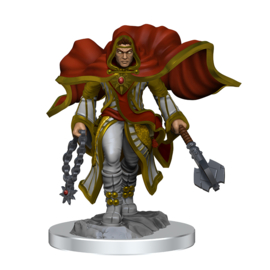 D&D Nolzur's Marvelous Miniatures: Aasimar Cleric Male