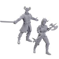 D&D Nolzur's Marvelous Miniatures: Special Edition Baldur's Gate 3 — Wyll & Karlach
