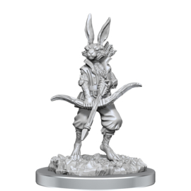 D&D Nolzur’s Marvelous Miniatures: Paint Night Kit - Harengon Limited Edition