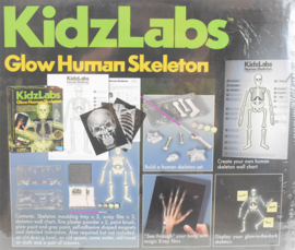 4M KidzLabz - Menselijk Skelet