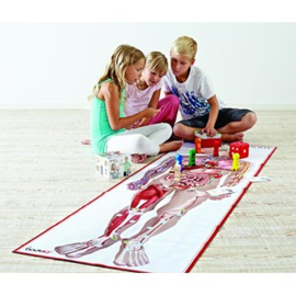 Body IQ Junior Spel
