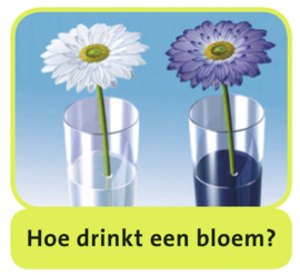 Science X - Wereld van de Planten