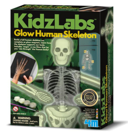 4M KidzLabz - Menselijk Skelet