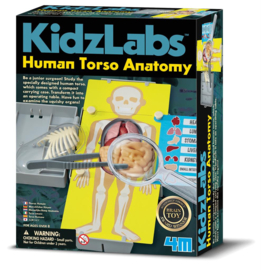 4M KidzLabz - Menselijk Torso