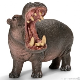 DierentuinDieren 2