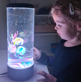 Kwallen Aquarium Rond