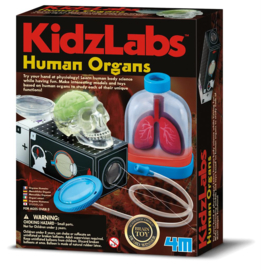 4M KidzLabz - Menselijke Organen