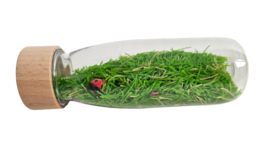 Veilige SensoFles Gras