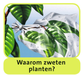 Science X - Wereld van de Planten