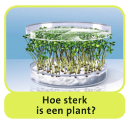 Science X - Wereld van de Planten