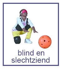 https://www.joeppie.nl/c-6983432/blind-en-slechtziend/