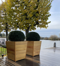 Hardhouten bak 'Sevilla' Tap