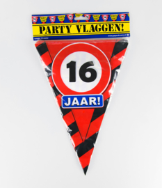 Vlaggenlijn 16 jaar