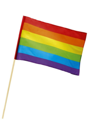 Zwaaivlag regenboog