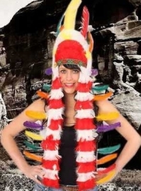 Indianentooi