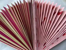 Rice papieren feestrozetten