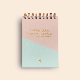 Uitsprakenboekje • Roze/mint & goud
