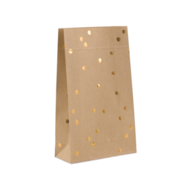 Blokbodem zakjes gouden stip • 15x6x24