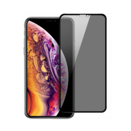 iPhone Xs Max Full Cover Privacy Tempered Glass Screen Protector