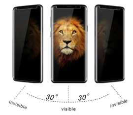 Galaxy S8 Privacy UV Liquid Glue Tempered Glass Protector