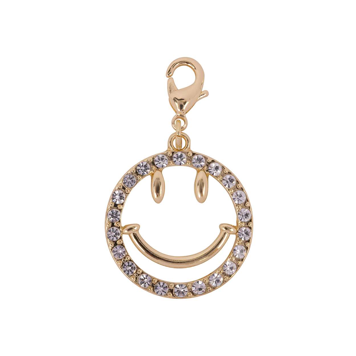 Big Charm - Shiny Smiley