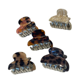 Hairclaw Mini 5 Pack