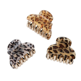 Hairclaw - "LEOPARD" - Dark Brown