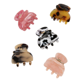 Hairclaw Mini 5 Pack