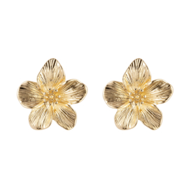 Daicy Earrings Gold