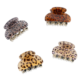 Hairclips 5 Pack - Leopard